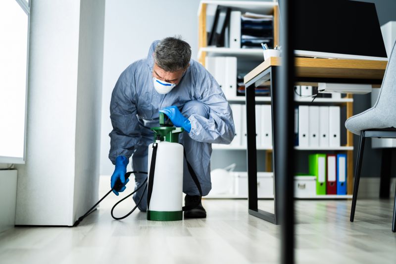 Spider Extermination Service