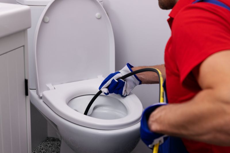 Toilet Snaking