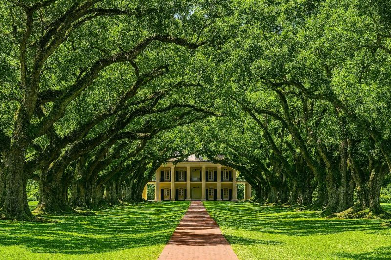 Bathroom Plumbing Service in Mandeville, LA